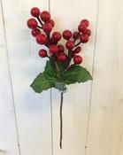 Natural Berry Christmas Pick