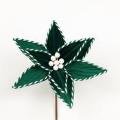 Green Candy Cane Poinsettia