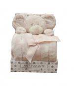 Teddy Bear &amp; Blanket Pink Mouse 90x70cm