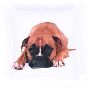 Photograph Mr Mischief Cushion Cover