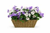 Artificial Pansy Flower Natural Basket
