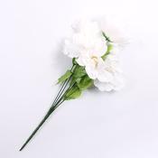 Artificial Peony Cream
