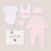 Pink Butterfly 5 Piece Baby Gift Set-New Born image