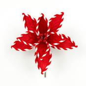 Red Candy Cane Poinsettia