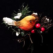 Robin Pick
