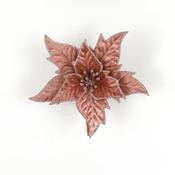 Blush Poinsettia