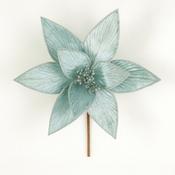 Ice Blue Poinsettia