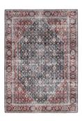 Toucan Black &amp; Red Rug by Vercai image
