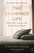 The Examined Life : How We Lose and Find Ourselves by Stephen Grosz image