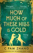 How Much of These Hills is Gold by C Pam Zhang (Paperback) image