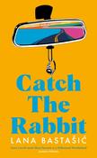 Catch the Rabbit by Lana Bastasic image