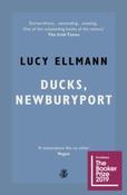 Ducks, Newburyport by Lucy Ellmann image