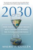 2030 : How Today's Biggest Trends Will Collide and Reshape the Future of Everything by Mauro F. Guillen image