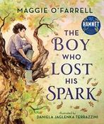 The Boy Who Lost His Spark by Maggie O'Farrell &amp;amp; Daniela Jaglenka Terrazzini (Hardback) image