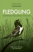 Fledgling by Hannah Bourne-Taylor (Paperback) image
