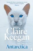 Antarctica by Claire Keegan (Paperback) image