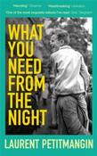 What You Need From The Night by Laurent Petitmangin (Paperback)