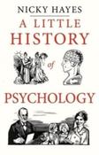 A Little History of Psychology by Nicky Hayes (Hardback) image