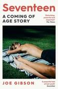 Seventeen by Joe Gibson (Large Paperback) image