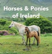Horses and Ponies of Ireland By Sarah O'Connor (Hardcover) image