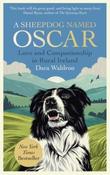 A Sheepdog Named Oscar: Love and Companionship in Rural Ireland by Dara Waldron (Large Paperback) (May 2026)