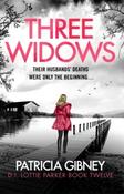 Three Widows By Patricia Gibney (Paperback) (July 2026) image