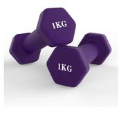 Neoprene Hex Dumbbells 1kg image