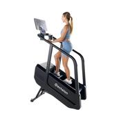 Echelon Summit Stairmill image