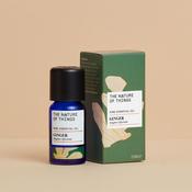 GINGER ESSENTIAL OIL (ORGANIC) image