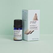 SANDALWOOD OIL (20% IN JOJOBA OIL) image