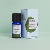 BERGAMOT ESSENTIAL OIL image