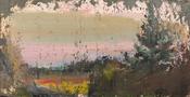  Hamilton Gallery Aidan Crotty - Noble Fir image