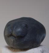  Hamilton Gallery Seal Pup - Heidi Wickham