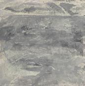 Hamilton Gallery Henshaw, Diane - Cloaked Borderland