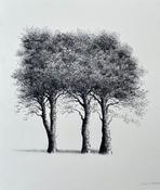  Hamilton Gallery Interlace - Sorca O'Farrell image