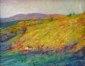  Hamilton Gallery The Small Field - Kenny McKendry image