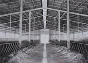  Hamilton Gallery Marilin North - Finishing Shed