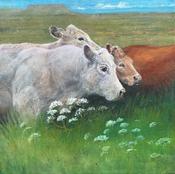  Hamilton Gallery Connolly Aideen - Cruinniu  le Cheile