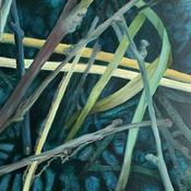  Hamilton Gallery Gannon, Betty - Rewetting The Peatlands No 1