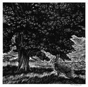  Hamilton Gallery Gallagher, Brian -  Hare in the woods