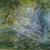  Hamilton Gallery Scanlon, Constance - Saor chun bogadh saor