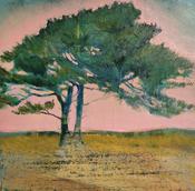  Hamilton Gallery Cawley, Fiona - The Burren Pine, These Roots We Share