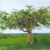  Hamilton Gallery O'Reilly, Geraldine - At the centre of the Island, on Uisneach Hill, an old Hawthorn Tree