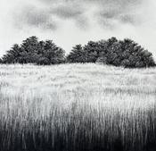  Hamilton Gallery O'Farrell, Sorca - Still the morning
