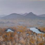  Hamilton Gallery Gunning, Tony -  Roundstone Bog (in mist)