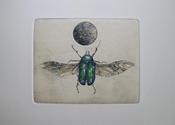  Hamilton Gallery Gallagher Corona - Moondance