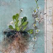  Hamilton Gallery Bremner Lynda - Castlepollard Daisy Chains