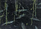 Hamilton Gallery Colreavy, Paul - 'Blackwater Fish Kill I'