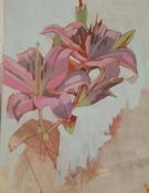  Hamilton Gallery Healy, Eileen - 'Lilies'