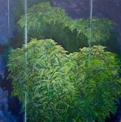  Hamilton Gallery Owen, Pat - 'Heart Leaves'